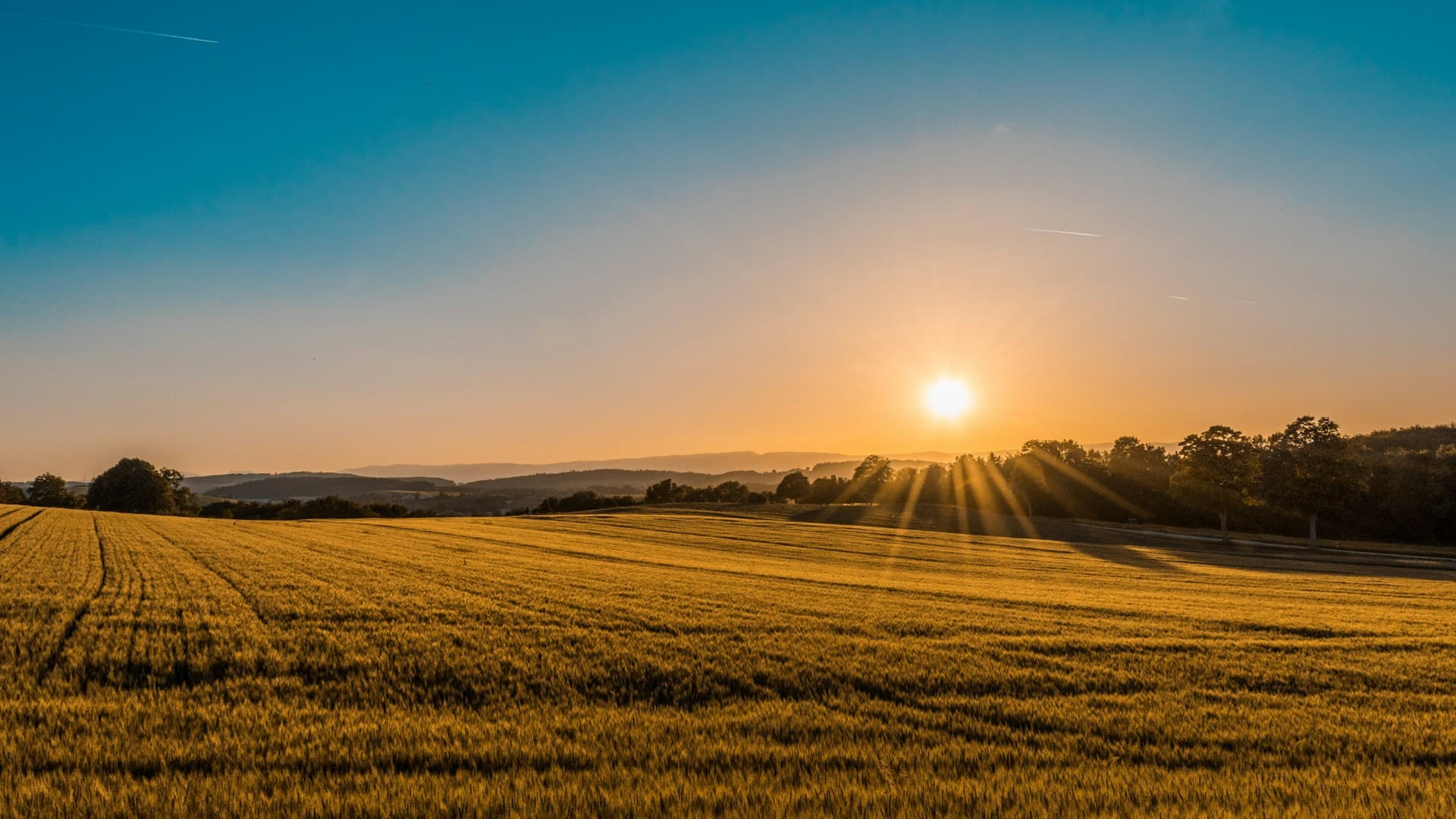 Simplifying Form Rendering In React with Field Component Abstraction